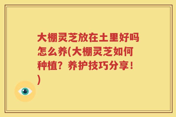 大棚灵芝放在土里好吗怎么养(大棚灵芝如何种植？养护技巧分享！)
