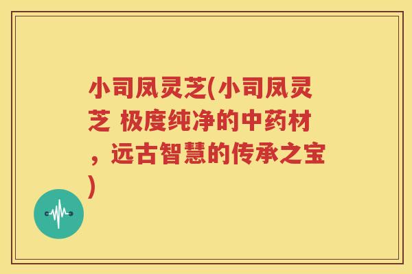 小司凤灵芝(小司凤灵芝 极度纯净的中药材，远古智慧的传承之宝)