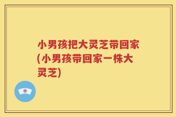 小男孩把大灵芝带回家(小男孩带回家一株大灵芝)
