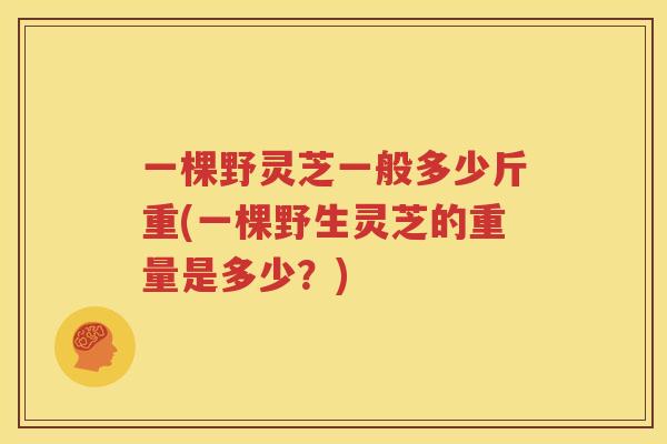 一棵野灵芝一般多少斤重(一棵野生灵芝的重量是多少？)