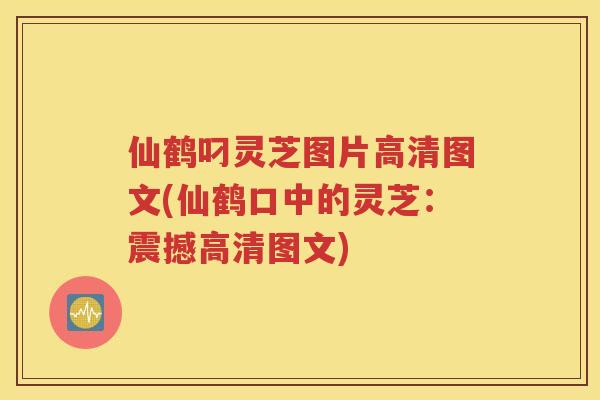 仙鹤叼灵芝图片高清图文(仙鹤口中的灵芝：震撼高清图文)