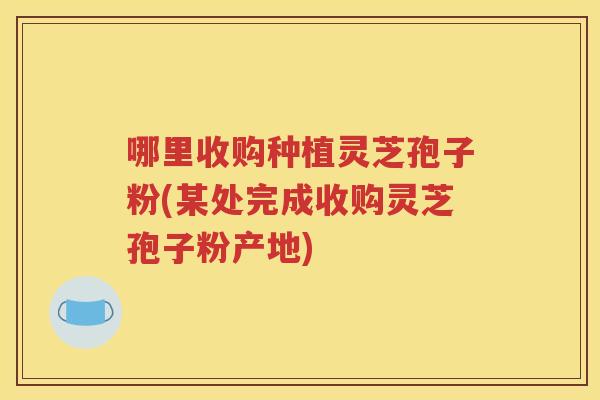 哪里收购种植灵芝孢子粉(某处完成收购灵芝孢子粉产地)