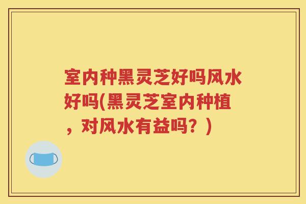 室内种黑灵芝好吗风水好吗(黑灵芝室内种植，对风水有益吗？)
