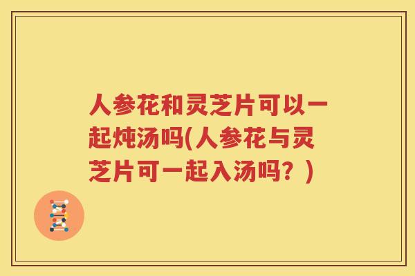 人参花和灵芝片可以一起炖汤吗(人参花与灵芝片可一起入汤吗？)