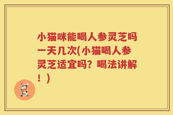 小猫咪能喝人参灵芝吗一天几次(小猫喝人参灵芝适宜吗？喝法讲解！)