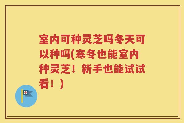 室内可种灵芝吗冬天可以种吗(寒冬也能室内种灵芝！新手也能试试看！)