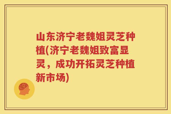 山东济宁老魏姐灵芝种植(济宁老魏姐致富显灵，成功开拓灵芝种植新市场)