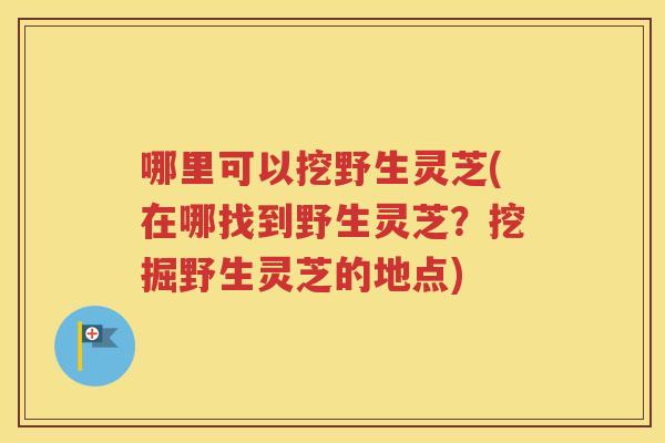哪里可以挖野生灵芝(在哪找到野生灵芝？挖掘野生灵芝的地点)