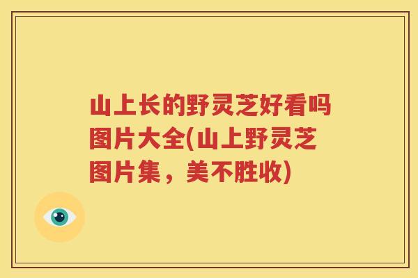 山上长的野灵芝好看吗图片大全(山上野灵芝图片集，美不胜收)