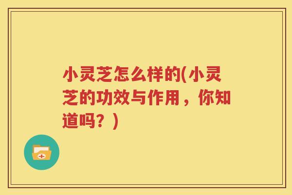 小灵芝怎么样的(小灵芝的功效与作用，你知道吗？)