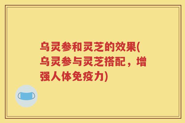 乌灵参和灵芝的效果(乌灵参与灵芝搭配，增强人体免疫力)