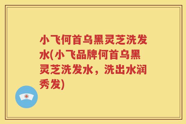 小飞何首乌黑灵芝洗发水(小飞品牌何首乌黑灵芝洗发水，洗出水润秀发)