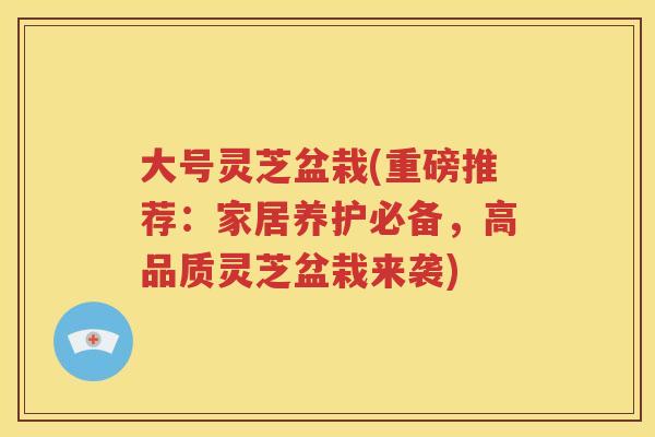 大号灵芝盆栽(重磅推荐：家居养护必备，高品质灵芝盆栽来袭)