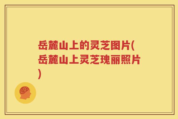 岳麓山上的灵芝图片(岳麓山上灵芝瑰丽照片)