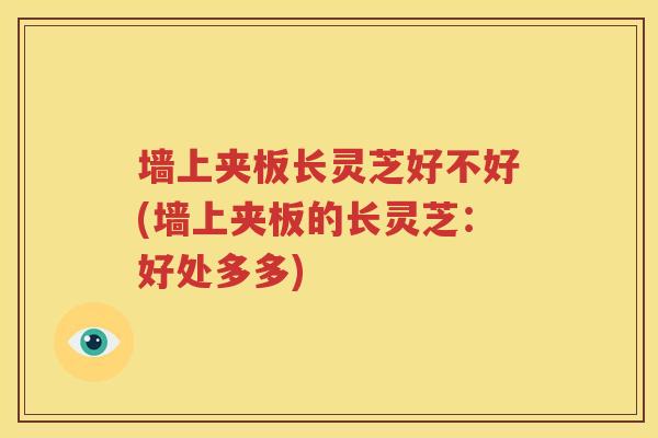 墙上夹板长灵芝好不好(墙上夹板的长灵芝：好处多多)