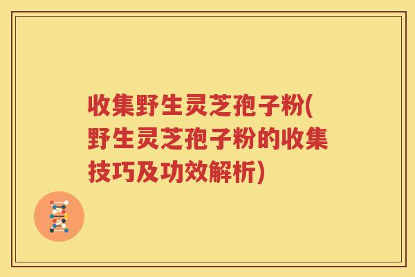 收集野生灵芝孢子粉(野生灵芝孢子粉的收集技巧及功效解析)