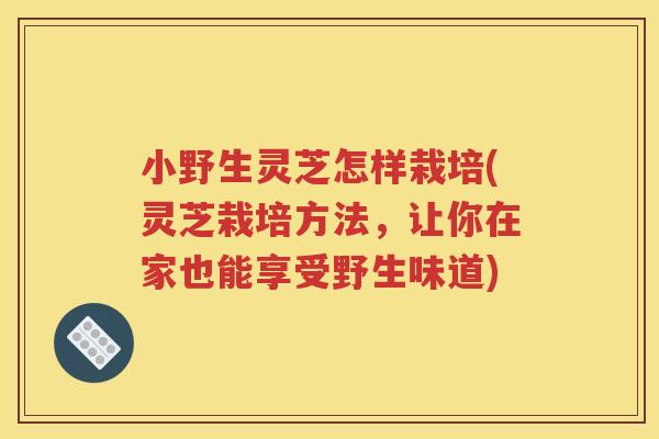 小野生灵芝怎样栽培(灵芝栽培方法，让你在家也能享受野生味道)