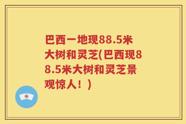 巴西一地现88.5米大树和灵芝(巴西现88.5米大树和灵芝景观惊人！)