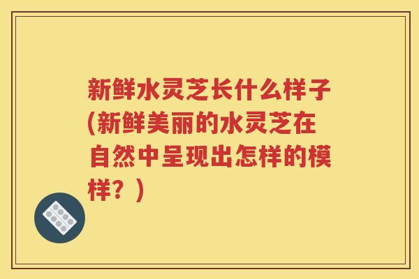 新鲜水灵芝长什么样子(新鲜美丽的水灵芝在自然中呈现出怎样的模样？)