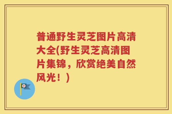 普通野生灵芝图片高清大全(野生灵芝高清图片集锦，欣赏绝美自然风光！)