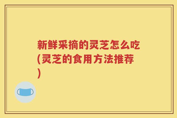 新鲜采摘的灵芝怎么吃(灵芝的食用方法推荐)