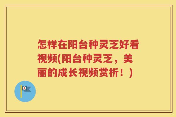 怎样在阳台种灵芝好看视频(阳台种灵芝，美丽的成长视频赏析！)