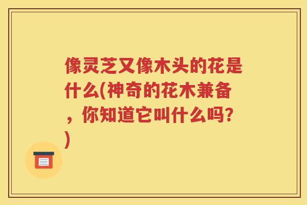 像灵芝又像木头的花是什么(神奇的花木兼备，你知道它叫什么吗？)