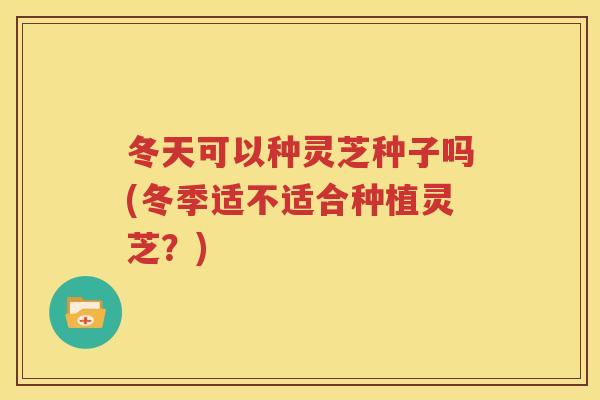 冬天可以种灵芝种子吗(冬季适不适合种植灵芝？)