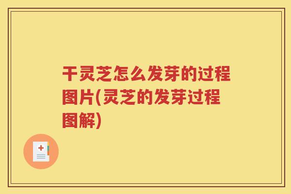 干灵芝怎么发芽的过程图片(灵芝的发芽过程图解)