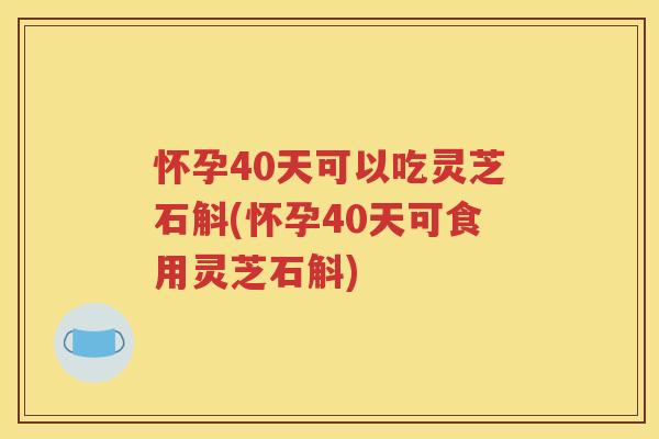 怀孕40天可以吃灵芝石斛(怀孕40天可食用灵芝石斛)