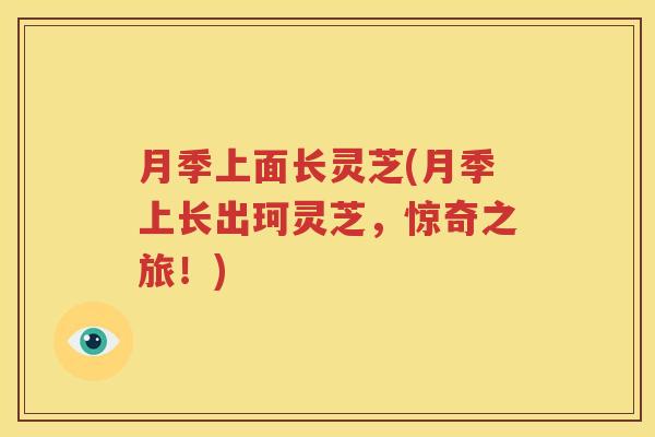 月季上面长灵芝(月季上长出珂灵芝，惊奇之旅！)