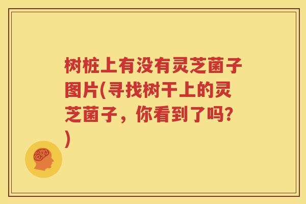 树桩上有没有灵芝菌子图片(寻找树干上的灵芝菌子，你看到了吗？)