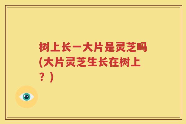 树上长一大片是灵芝吗(大片灵芝生长在树上？)