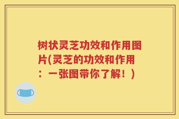 树状灵芝功效和作用图片(灵芝的功效和作用：一张图带你了解！)