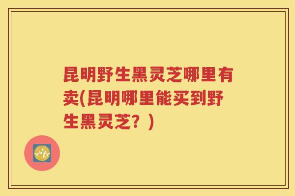 昆明野生黑灵芝哪里有卖(昆明哪里能买到野生黑灵芝？)