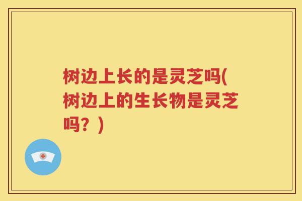 树边上长的是灵芝吗(树边上的生长物是灵芝吗？)