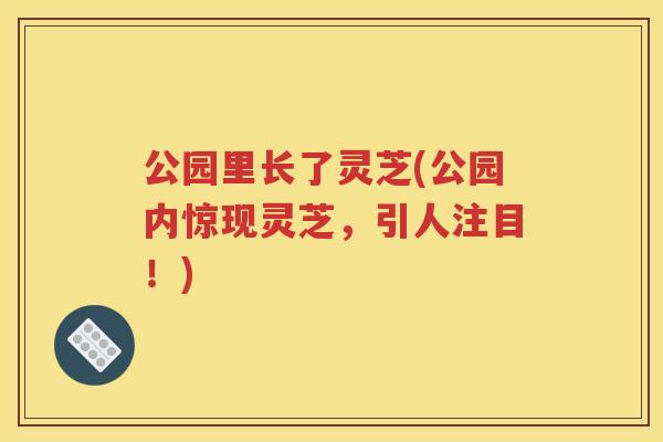 公园里长了灵芝(公园内惊现灵芝，引人注目！)