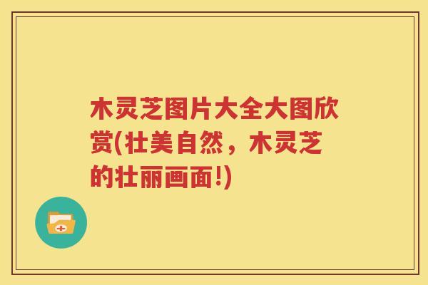 木灵芝图片大全大图欣赏(壮美自然，木灵芝的壮丽画面!)