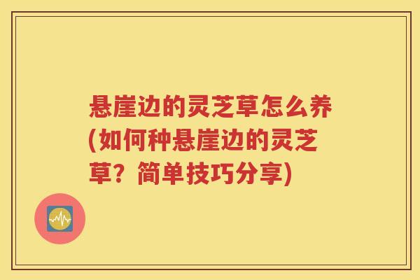 悬崖边的灵芝草怎么养(如何种悬崖边的灵芝草？简单技巧分享)