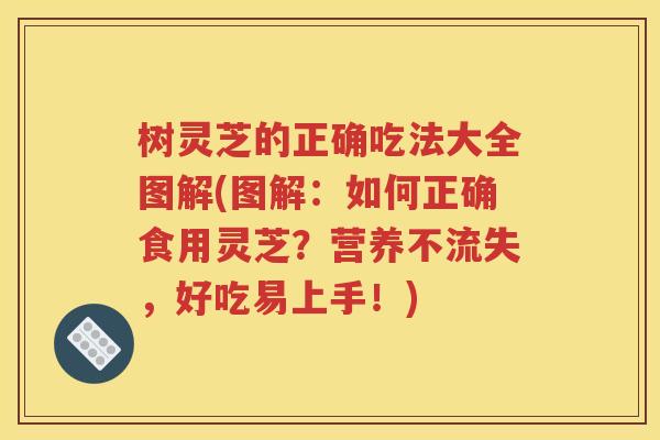 树灵芝的正确吃法大全图解(图解：如何正确食用灵芝？营养不流失，好吃易上手！)