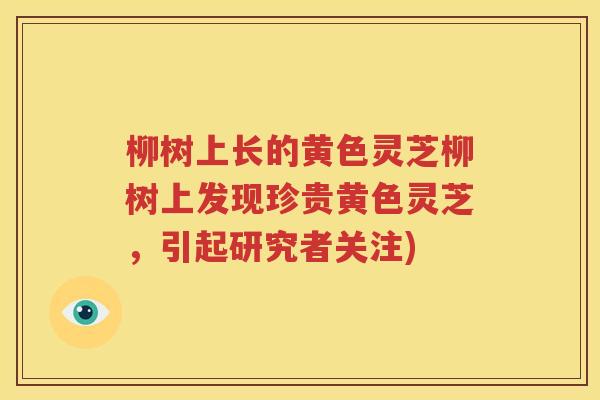 柳树上长的黄色灵芝柳树上发现珍贵黄色灵芝，引起研究者关注)