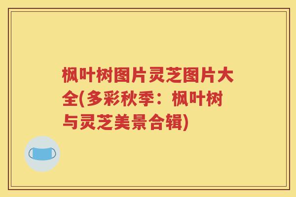 枫叶树图片灵芝图片大全(多彩秋季：枫叶树与灵芝美景合辑)