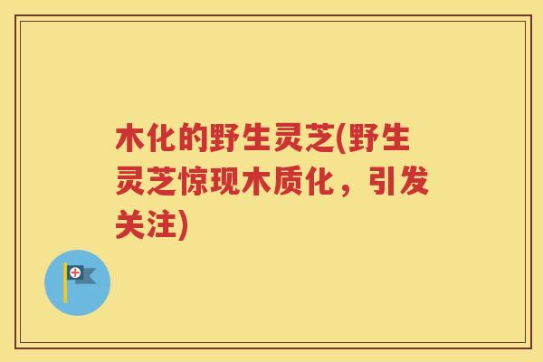 木化的野生灵芝(野生灵芝惊现木质化，引发关注)
