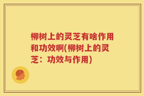 柳树上的灵芝有啥作用和功效啊(柳树上的灵芝：功效与作用)