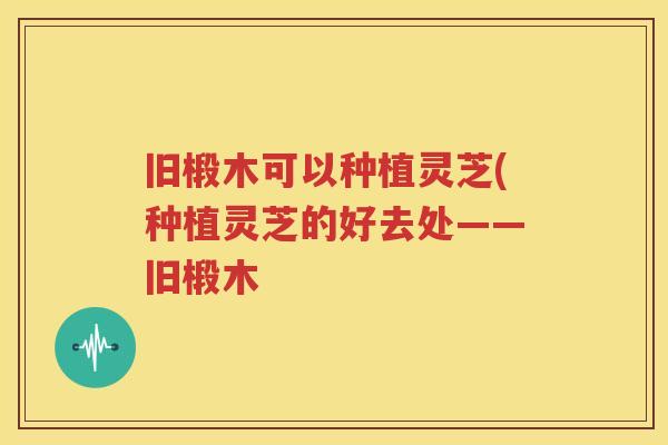 旧椴木可以种植灵芝(种植灵芝的好去处——旧椴木