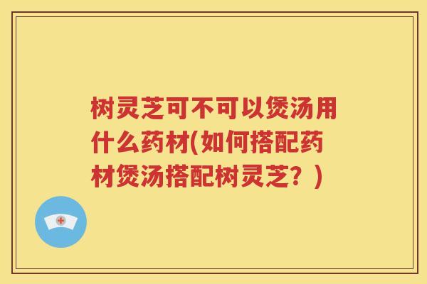 树灵芝可不可以煲汤用什么药材(如何搭配药材煲汤搭配树灵芝？)