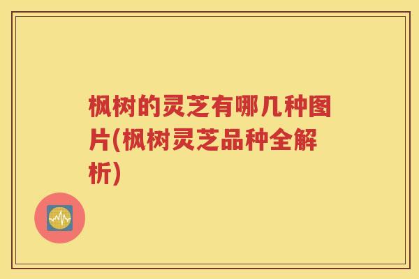 枫树的灵芝有哪几种图片(枫树灵芝品种全解析)