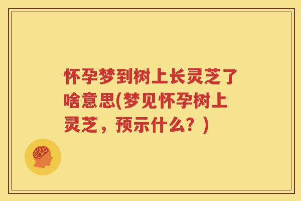 怀孕梦到树上长灵芝了啥意思(梦见怀孕树上灵芝，预示什么？)