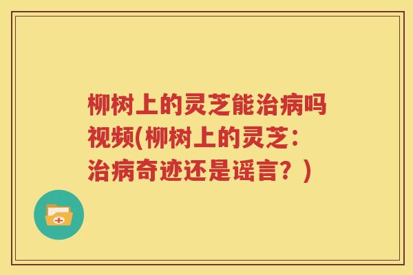 柳树上的灵芝能治病吗视频(柳树上的灵芝：治病奇迹还是谣言？)