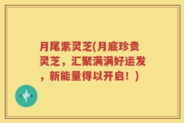 月尾紫灵芝(月底珍贵灵芝，汇聚满满好运发，新能量得以开启！)